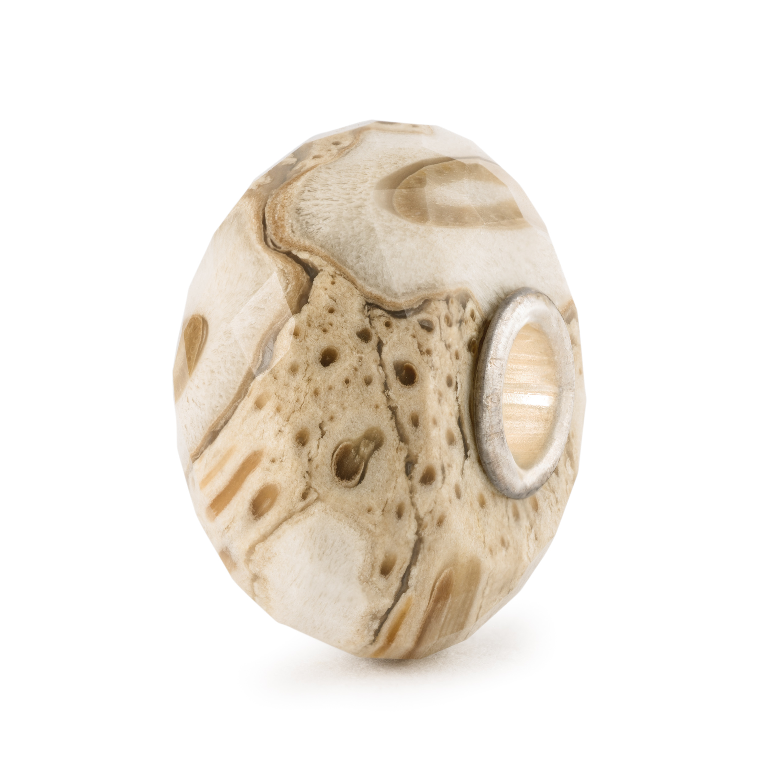 Trollbeads - Gefossiliseerd Hout